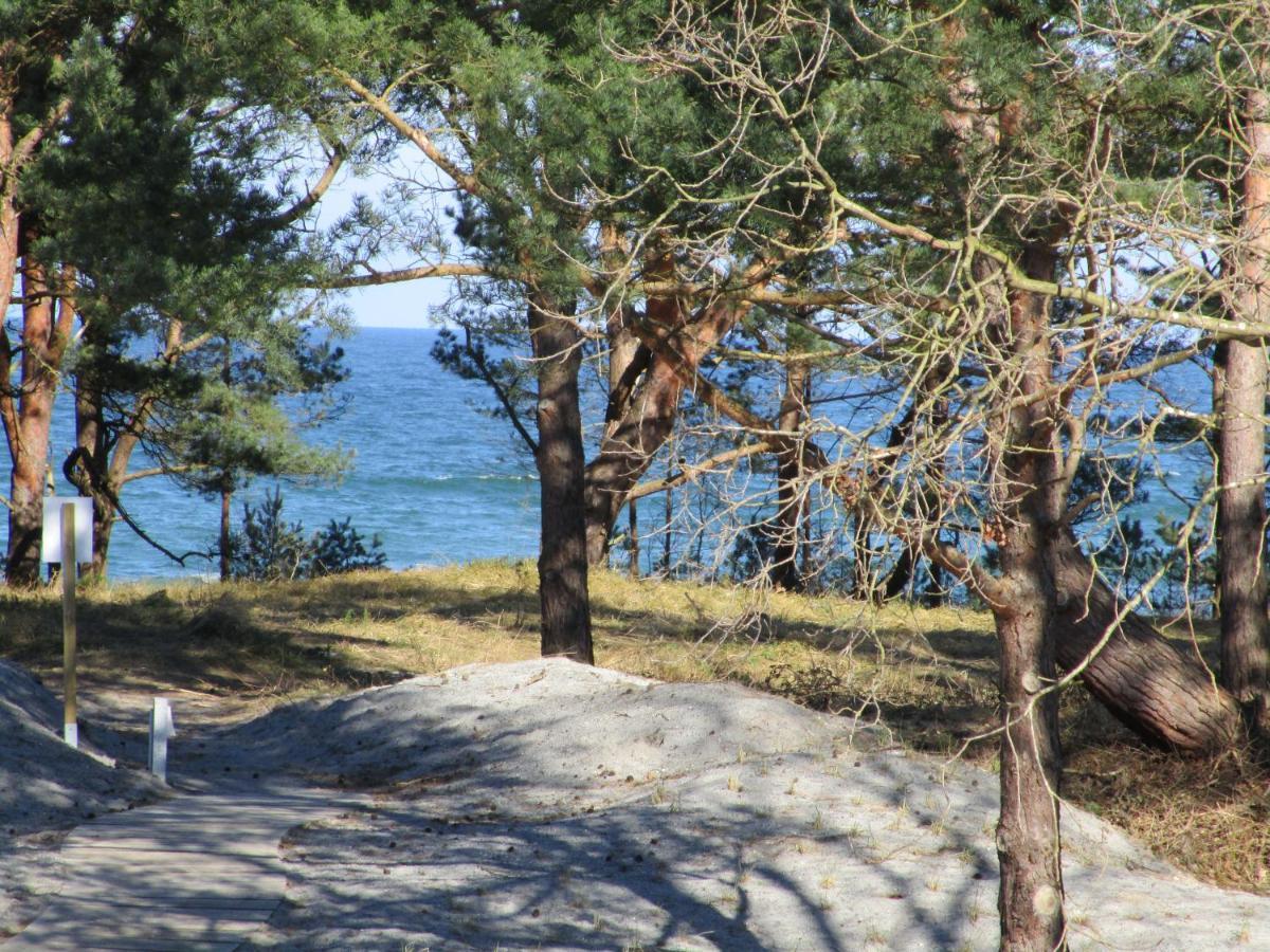 Strandapartment Kapitaen Prora بينز المظهر الخارجي الصورة