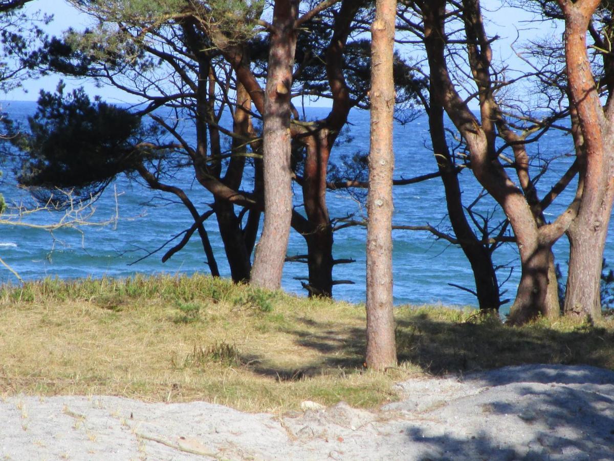 Strandapartment Kapitaen Prora بينز المظهر الخارجي الصورة